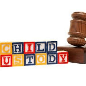 Child Custody and Child Support Investigations